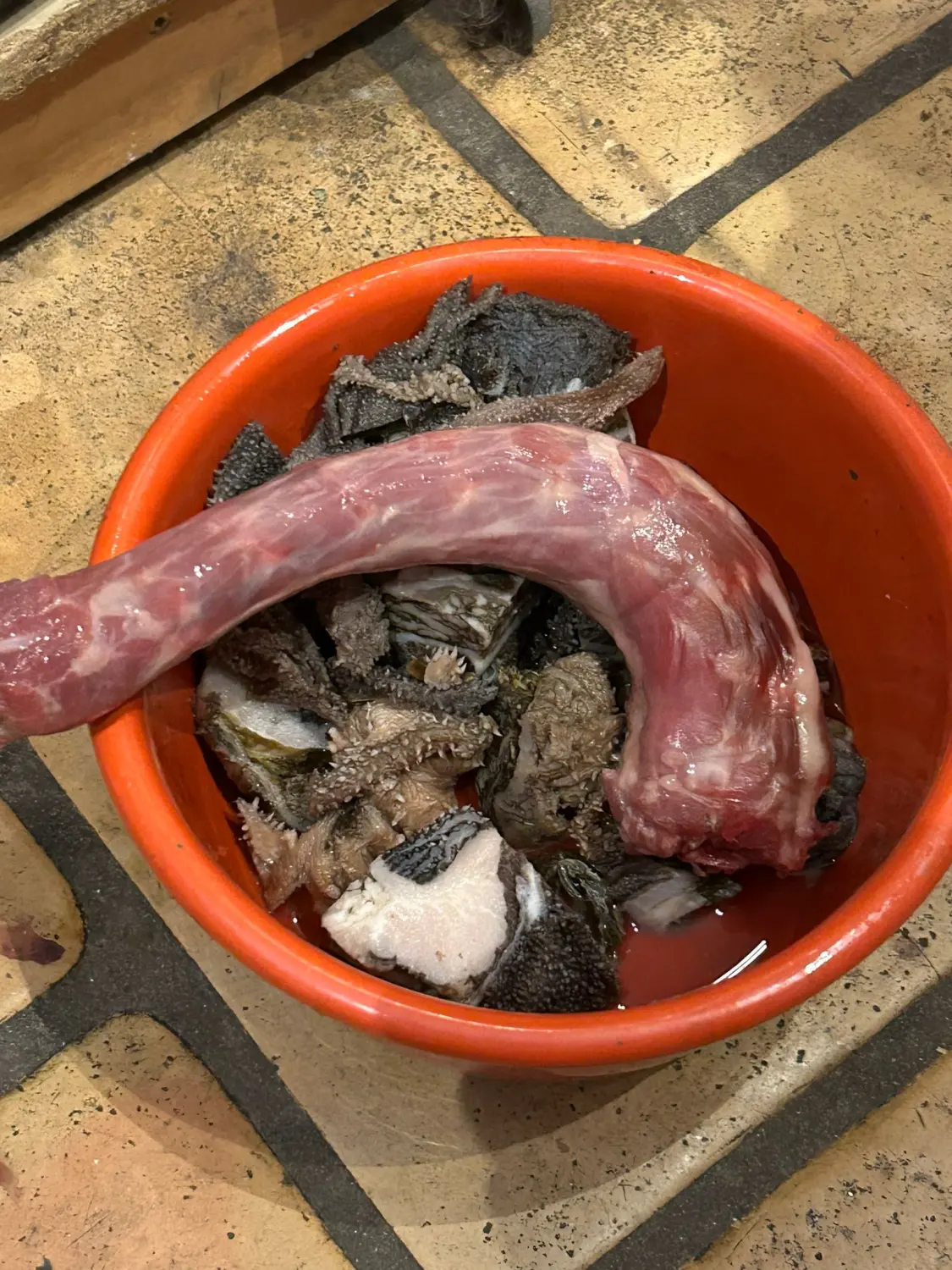Tierheilpraxis Sabine Beitz - Hundefutternapf