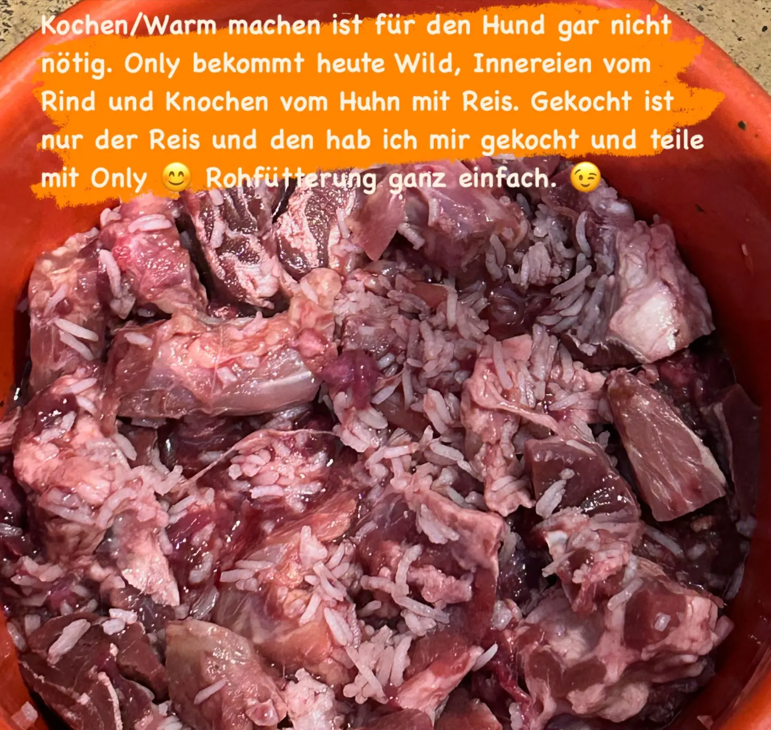 Tierheilpraxis Sabine Beitz - Hundefutternapf