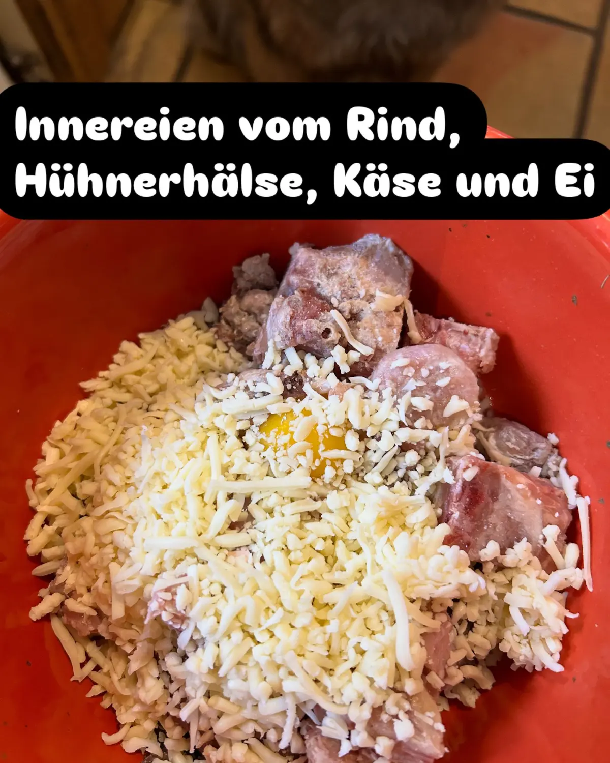 Tierheilpraxis Sabine Beitz - Hundefutternapf