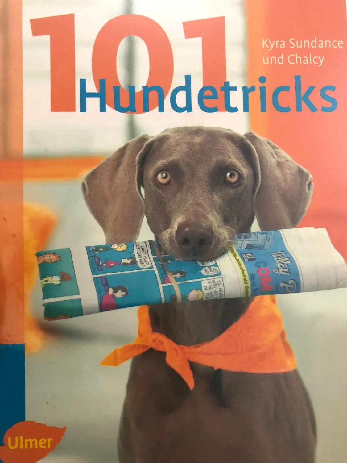 Tierheilpraxis Sabine Beitz – Hundehaltungsmagazin