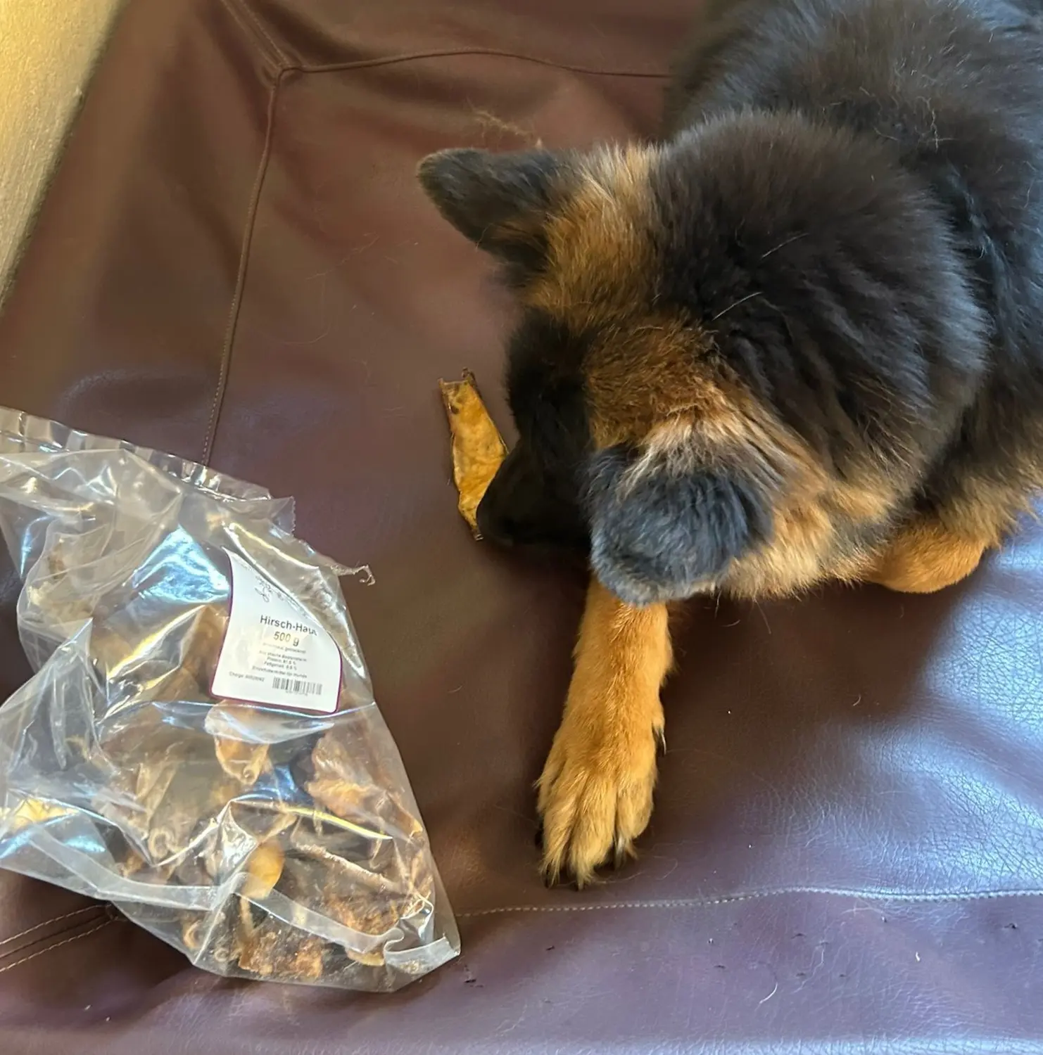 Tierheilpraxis Sabine Beitz - Schnüffelfutterpaket für Hunde