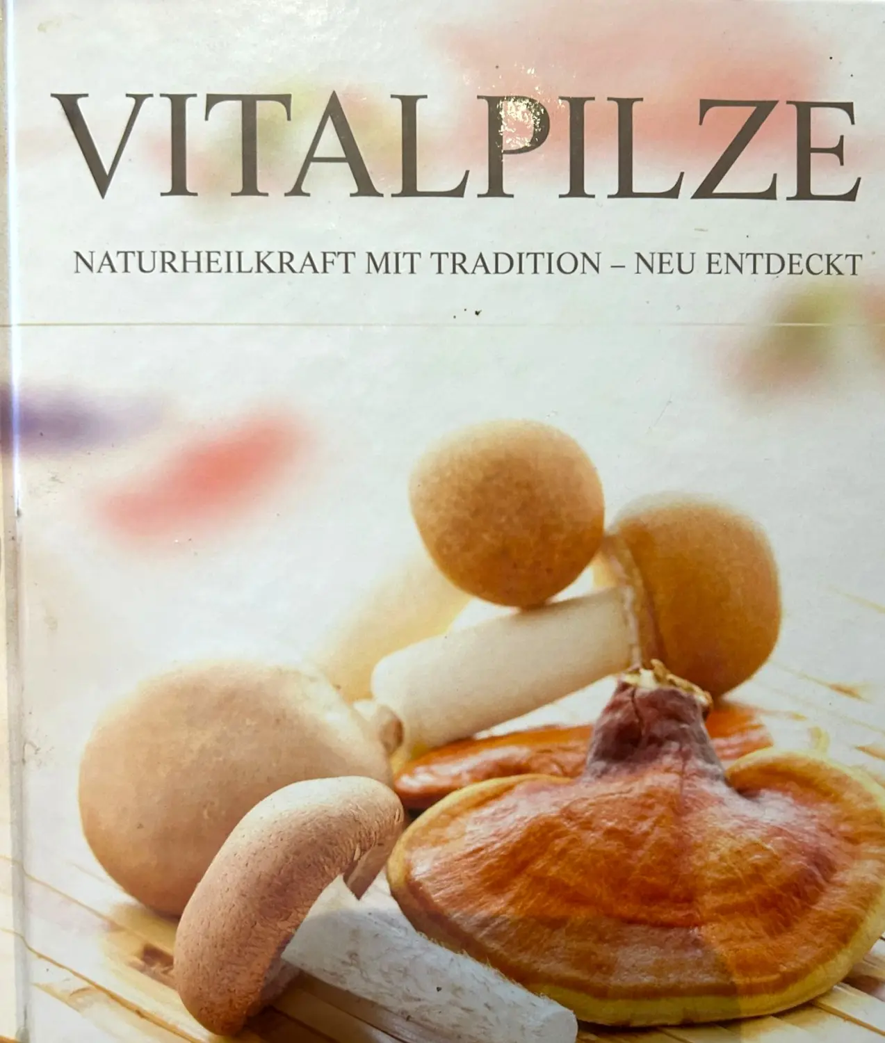 Tierheilpraxis Sabine Beitz - Vitalpilze Flyer