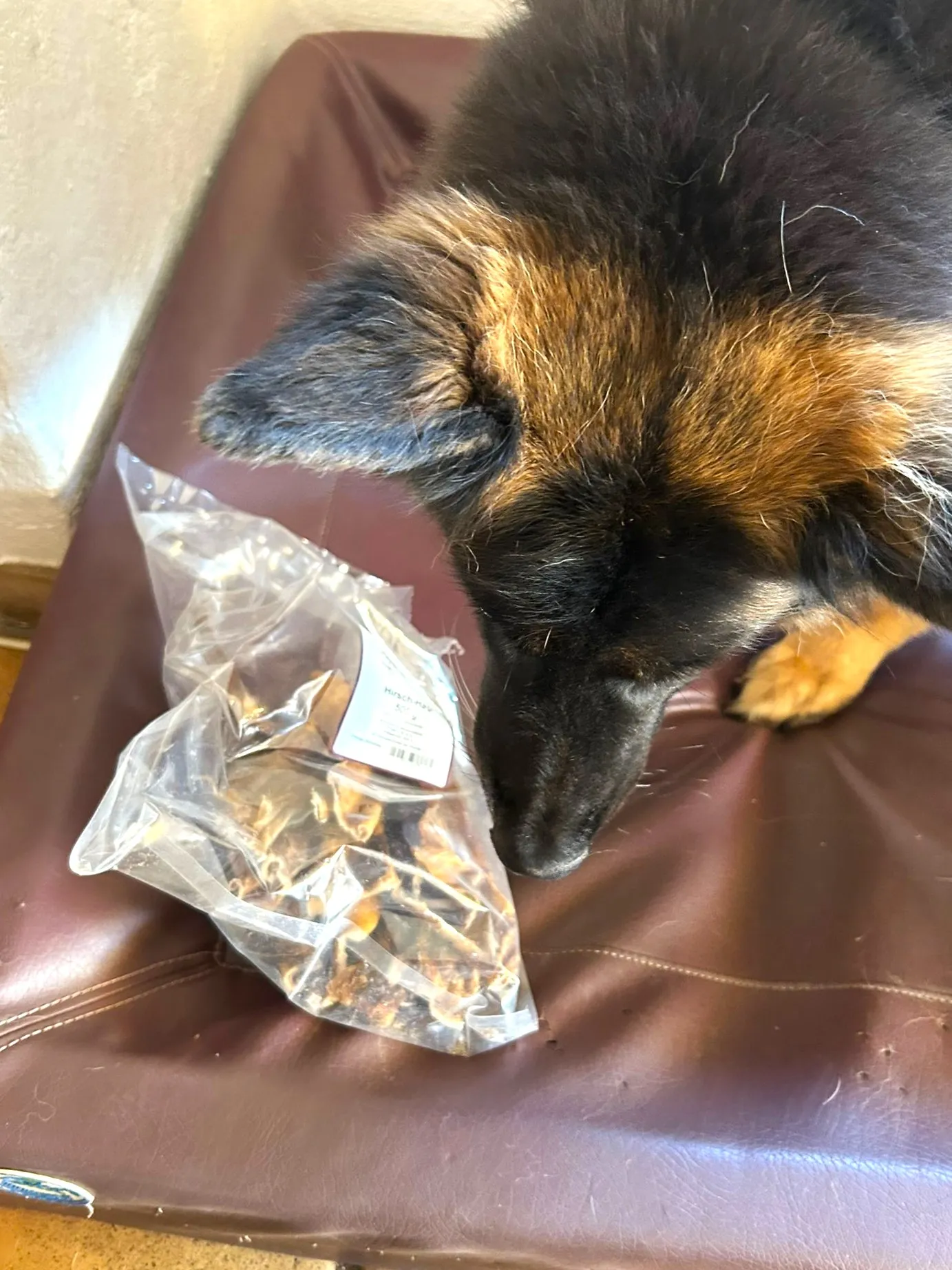 Tierheilpraxis Sabine Beitz - Schnüffelfutterpaket für Hunde